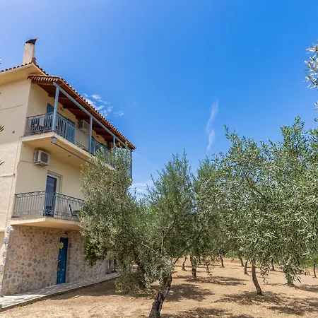 Maistros * Galaxídhion