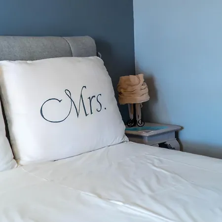 Maistros Galaxídhion